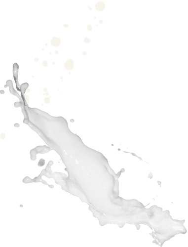 lait